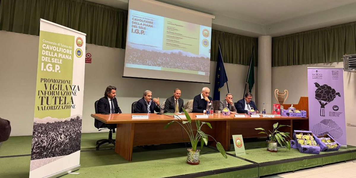 Il Consorzio di tutela del Cavolfiore della Piana del Sele Igp si presenta